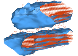 Empilement lamellaire simulé par CGDM