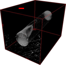 Image Tomographique décohésion à l'interface fibre de verre matrice époxy
