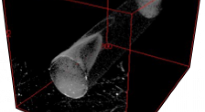 Image Tomographique décohésion à l'interface fibre de verre matrice époxy